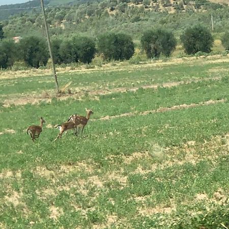 Casetta Tre Poderi Appartamento Papaveri Monte Cucco Exteriér fotografie